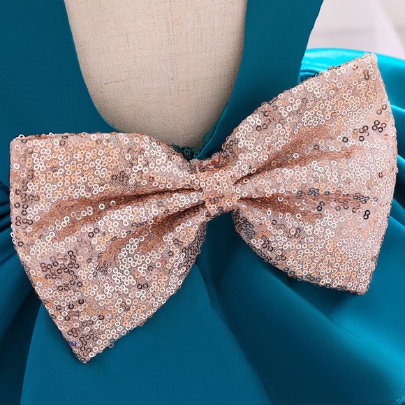 Luxury Birthday Wedding Princess Flower Girl Dress 5027 - Picture 3 of 7